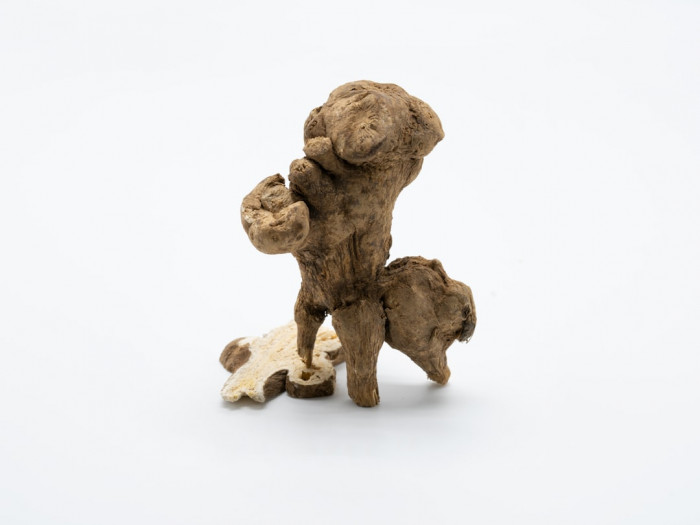 İzmir İngilizce Öğretmenliği Taban Puanları