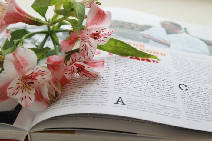 7. Sınıf İngilizce Test Çözme Rehberi